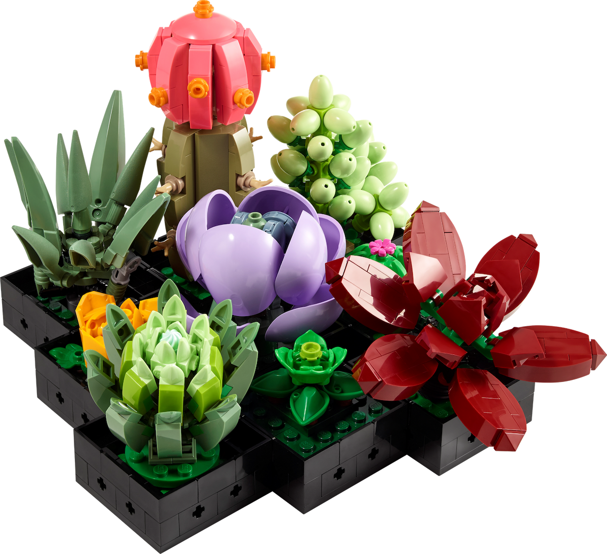 Succulents LEGO set (#10309-1)