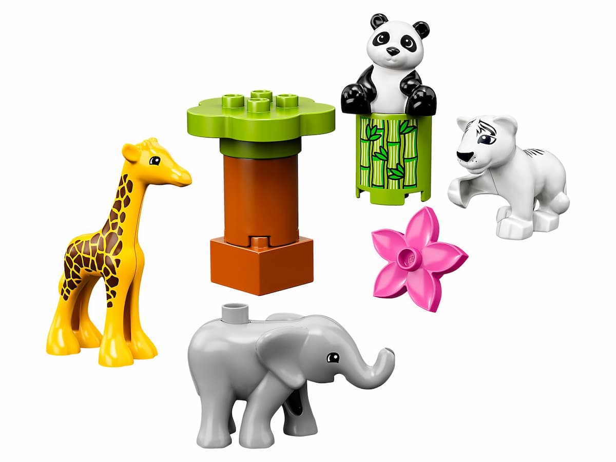 Baby Animals