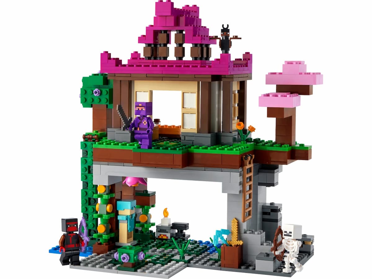 The Training Grounds LEGO set (#21183-1)