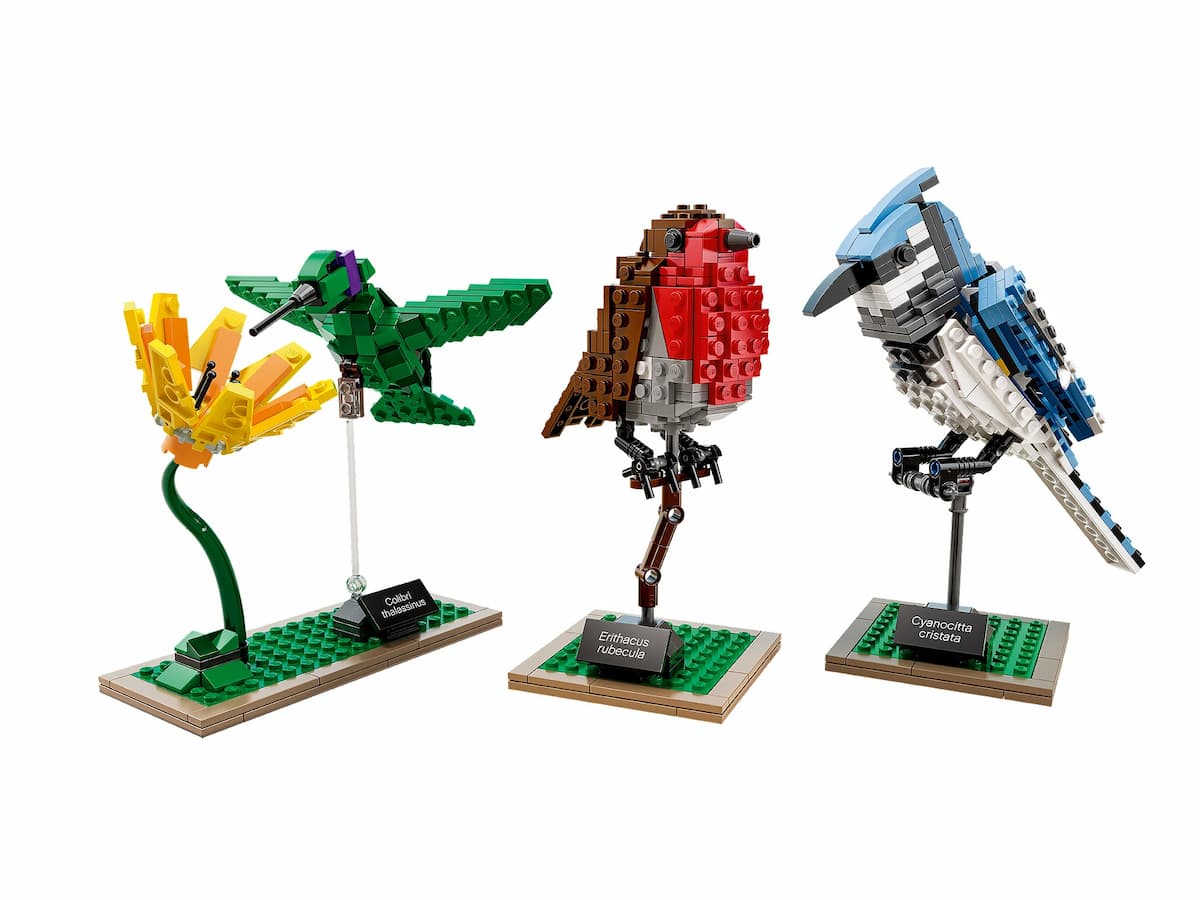 Birds LEGO set (#21301-1, 2015)