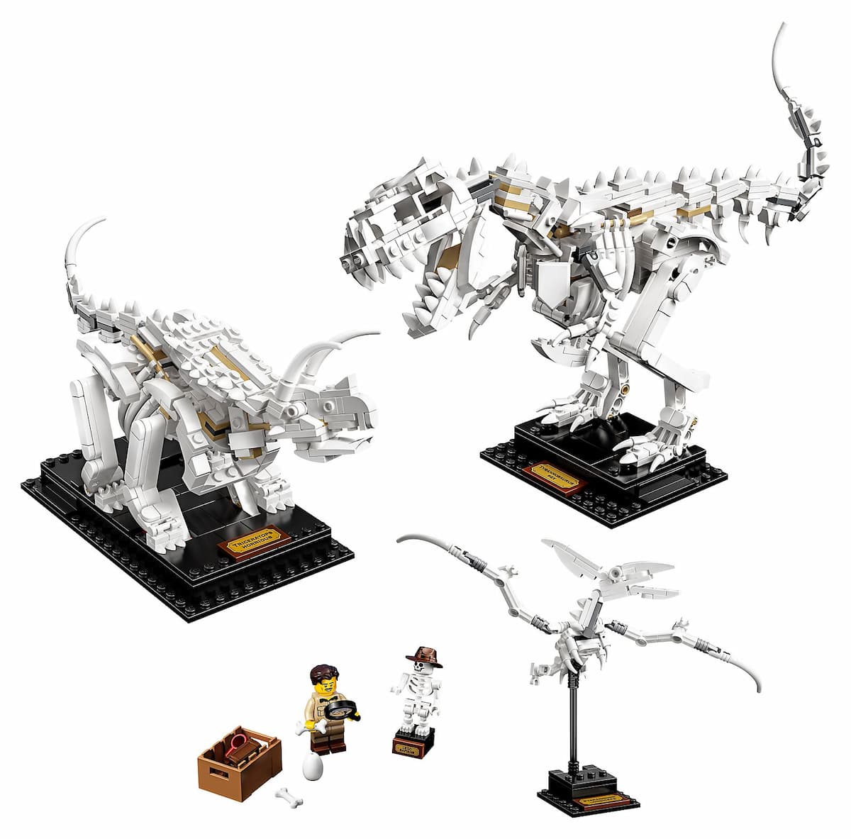 Dinosaur Fossils LEGO set (#21320-1, 2019)