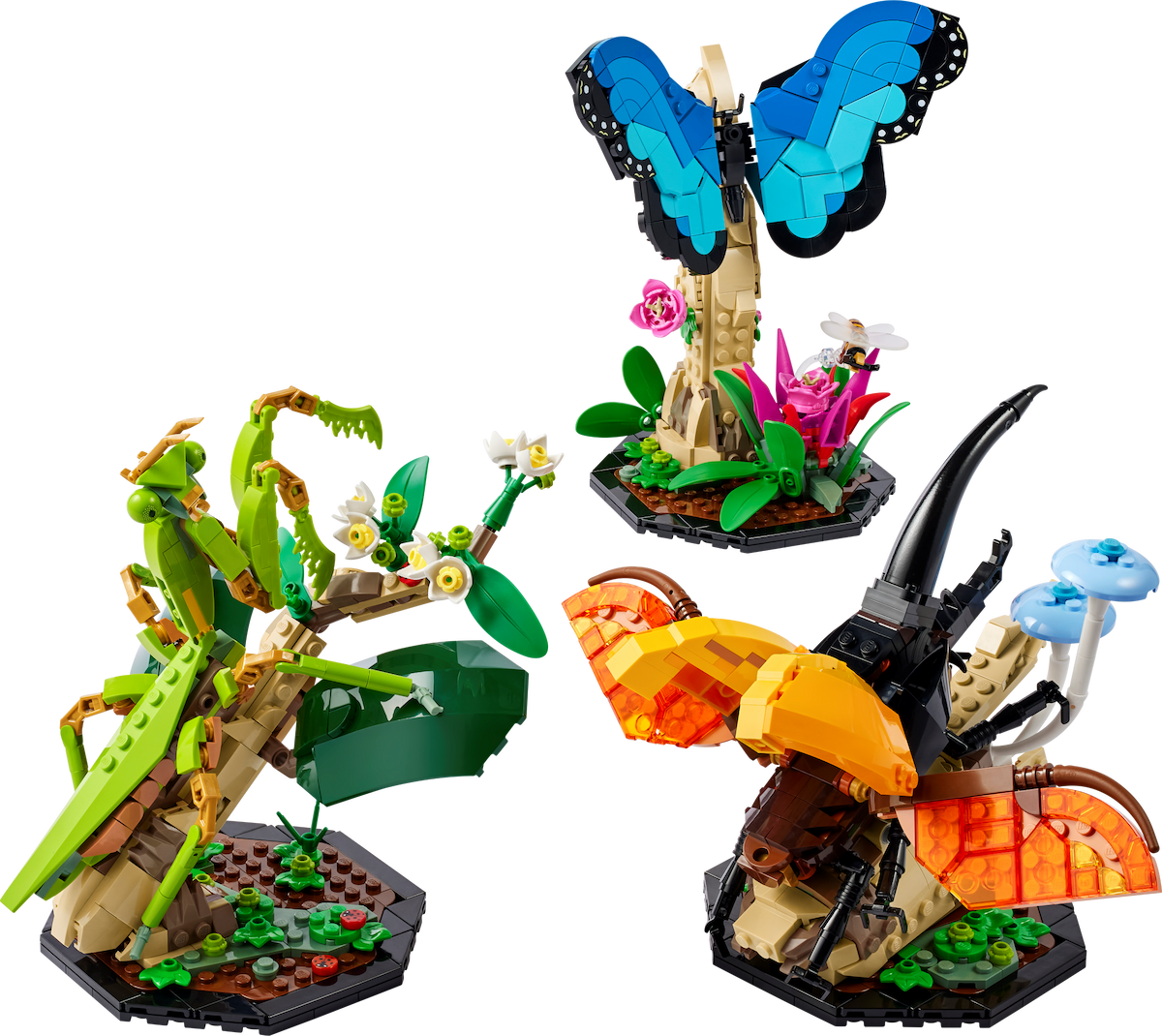 The Insect Collection LEGO set (#21342-1, 2023)