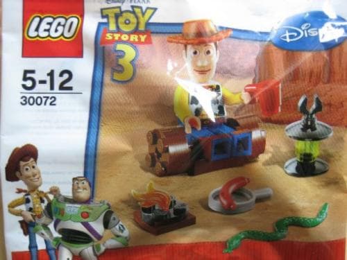 Woody's Camp Out LEGO set (#30072-1)