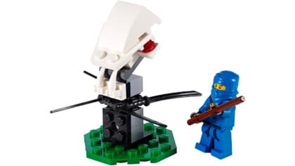 Ninja Training