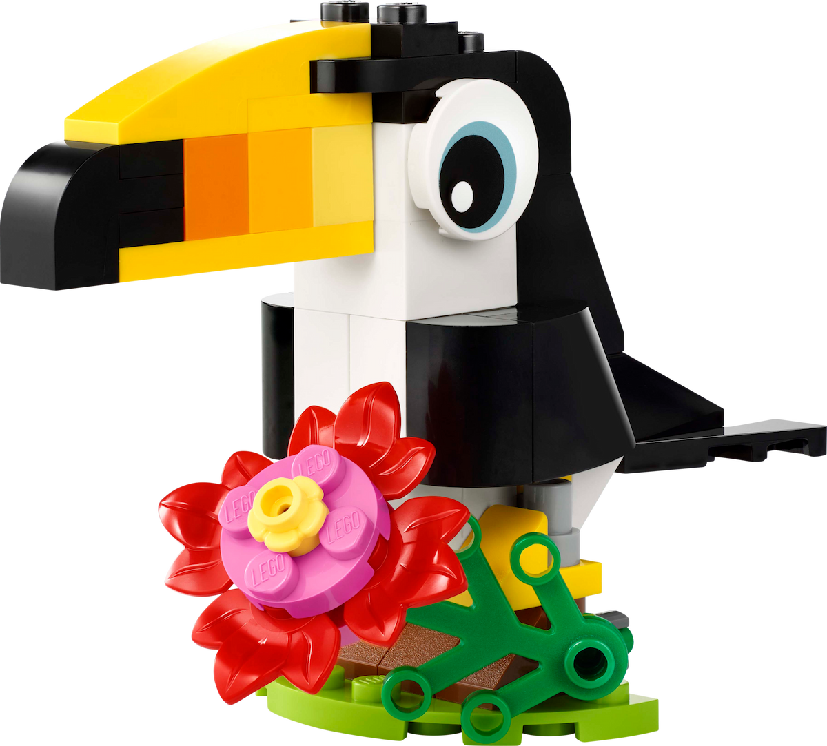 Tropical Toucan