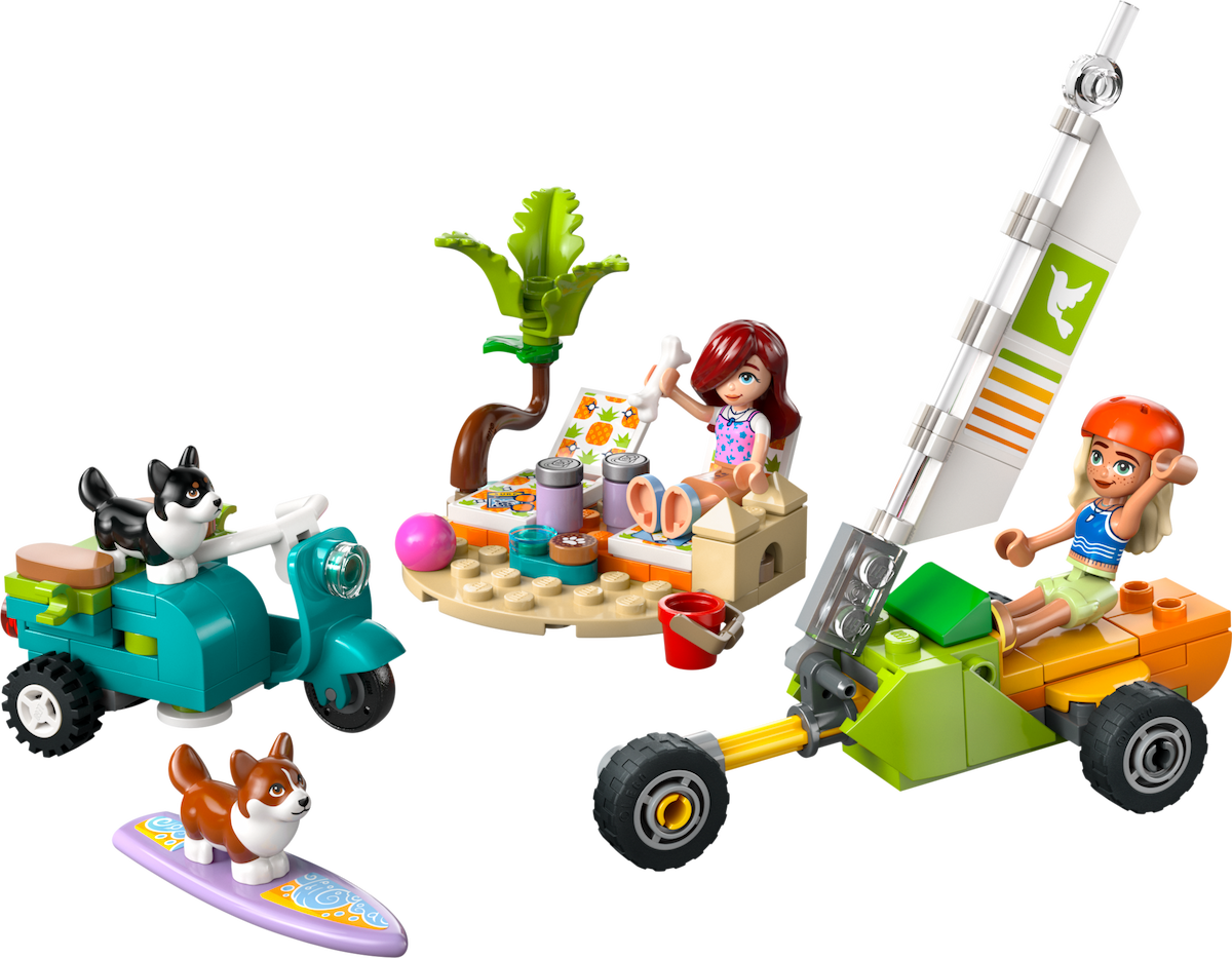 Surfing Dogs and Scooter Adventure