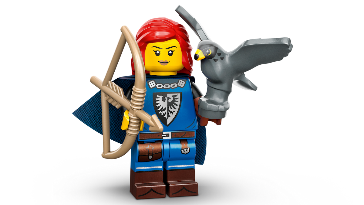 Falconer LEGO set (#71037-5)