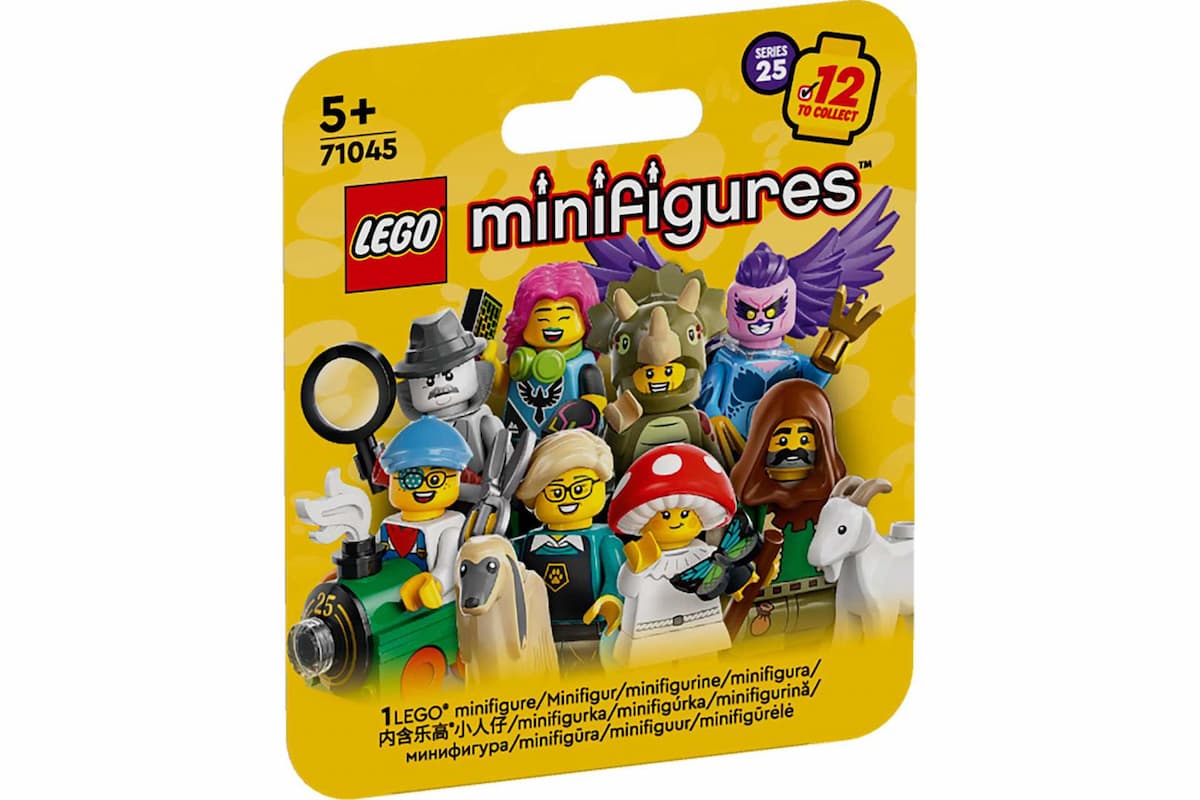 Series 25 - Random Box LEGO set (#71045-0)