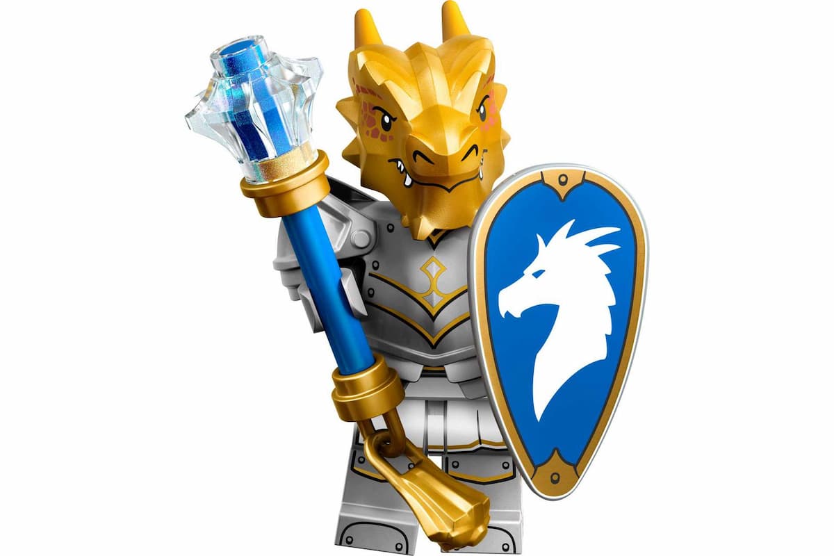 Dragonborn Paladin LEGO set (#71047-4)
