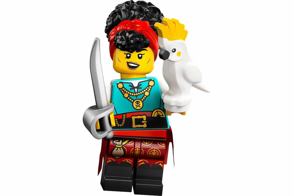 Pirate Quartermaster LEGO set (#71048-10)