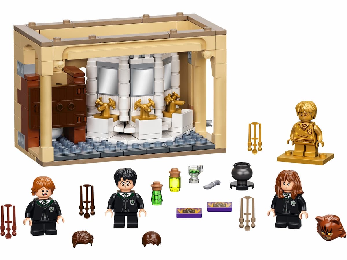 Hogwarts: Polyjuice Potion Mistake LEGO set (#76386-1)