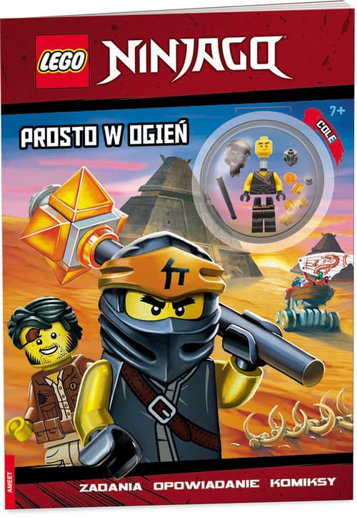 Ninjago: Into the Fire LEGO set (#9781760506636-1)